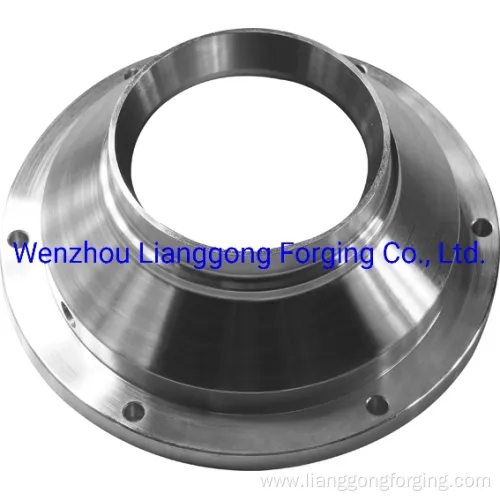 Customized Hot Forged Various Steel Flange Forging